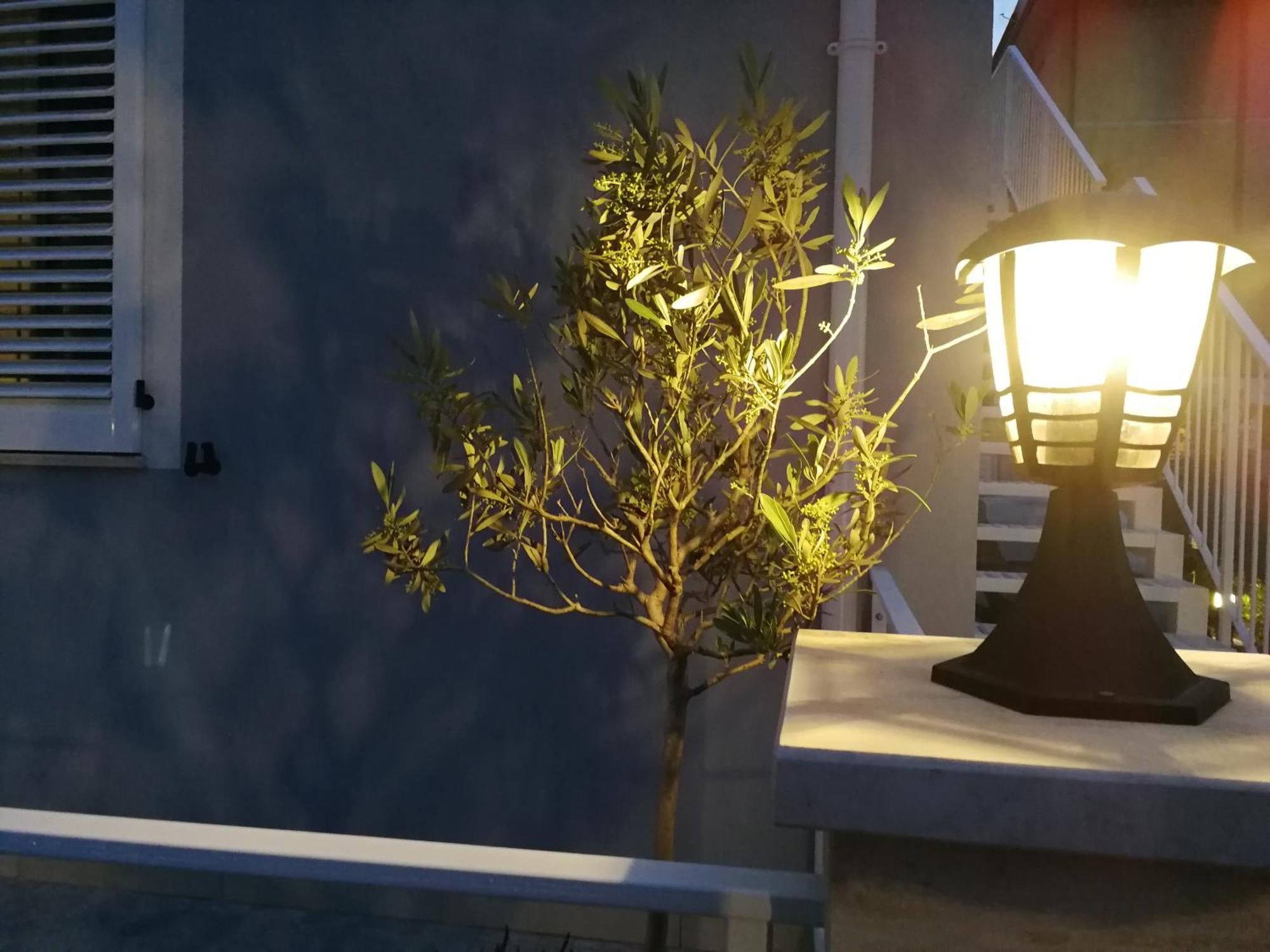 Alcivico3 Bed & Breakfast Civitanova Marche Eksteriør bilde
